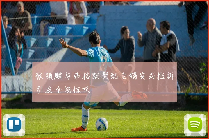 张镇麟与弗格默契配合锡安式挡拆引发全场惊叹