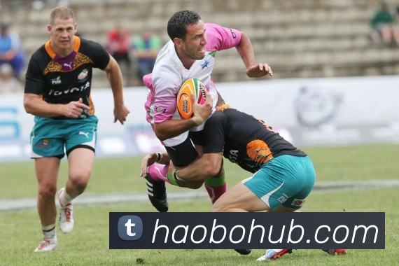 多媒体互动体验